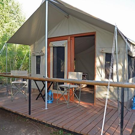 The Wild Olive Tree Camp Hotel Welverdiend  Room photo