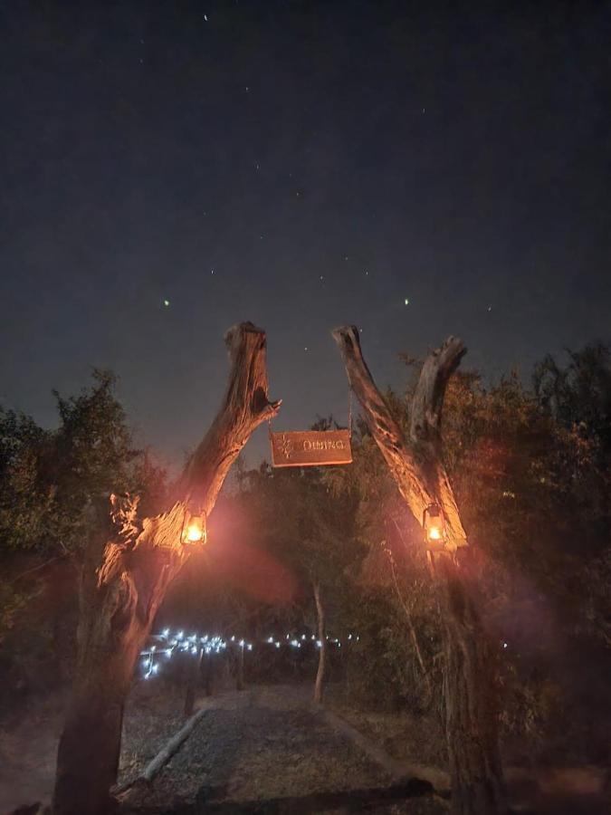 The Wild Olive Tree Camp Hotel Welverdiend  Exterior photo